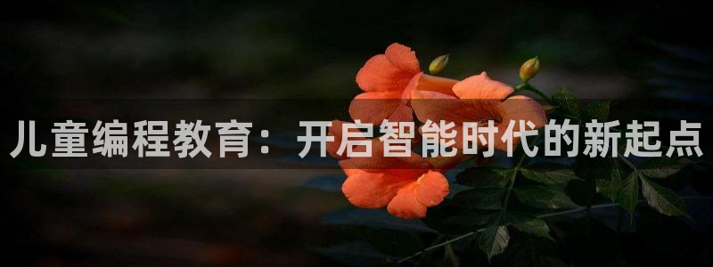 李鸿运开直播平台