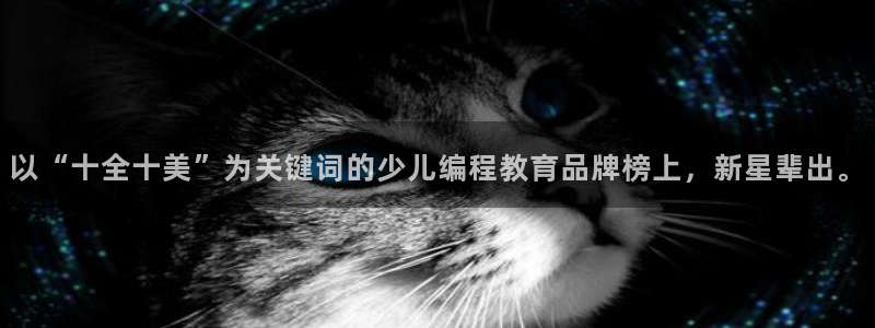 鸿运最新平台叫什么