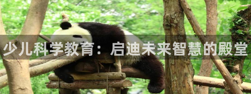 鸿运团队赚钱平台