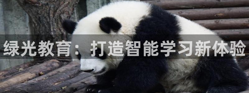 鸿运平台代理代