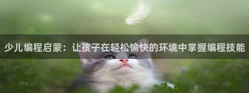 鸿运平台有哪些