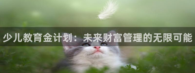 鸿运现场平台开户