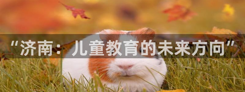 鸿运布艺团购平台