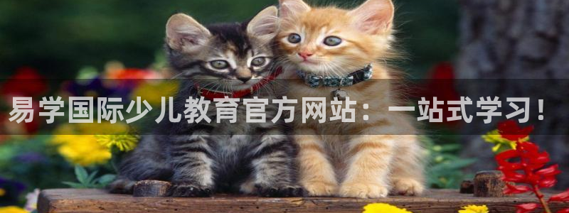 鸿运十三张充值平台