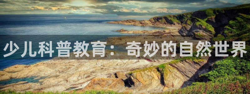 鸿运平台审核需要多久