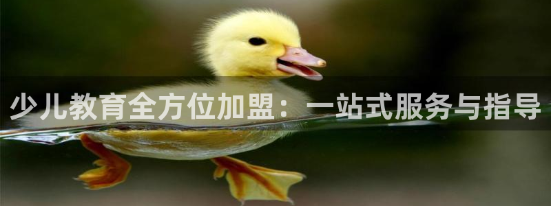 鸿运平台是什么