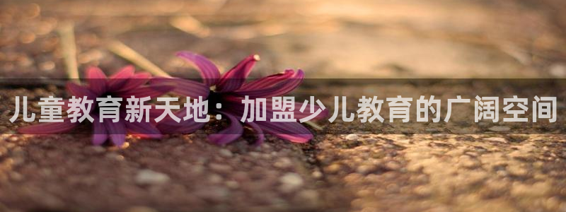 鸿运合拍是什么平台