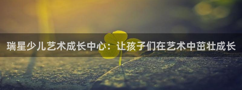 铜陵鸿运拍卖平台