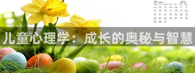 鸿运当头贷款平台