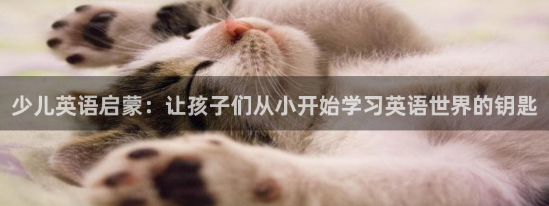 鸿运首选投资平台