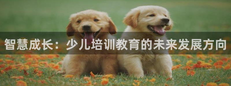 鸿运仓储直播平台