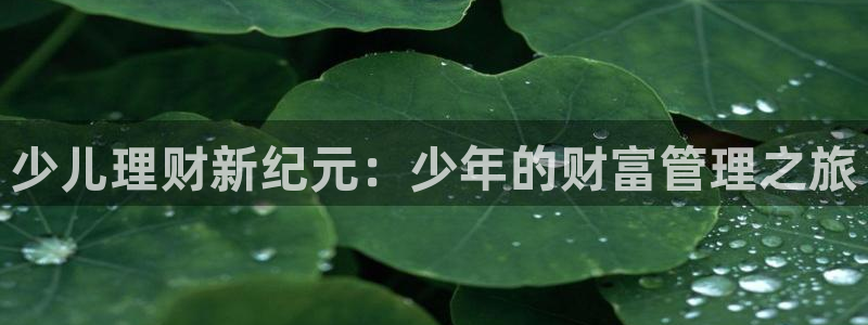 鸿运彩票网络平台