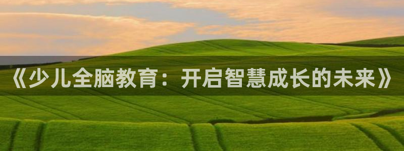 鸿运十三张充值平台