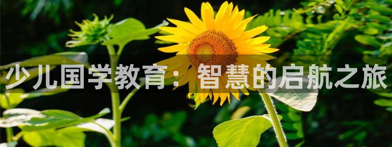 鸿运投注网平台