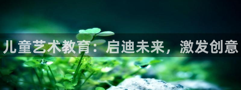 鸿运国际平台平