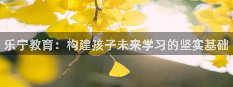 鸿运国际赌场平台