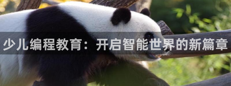 鸿运国际注册平台