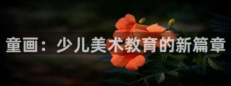 鸿运权威彩票平台