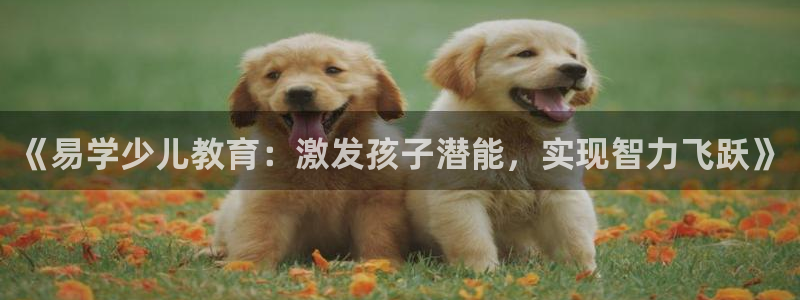 鸿运平台刷在线率