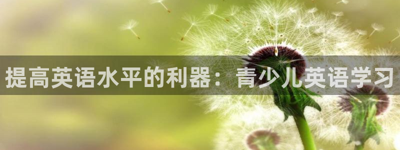 鸿运是什么平台