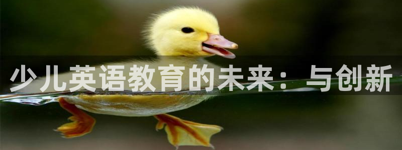 鸿运投注网平台