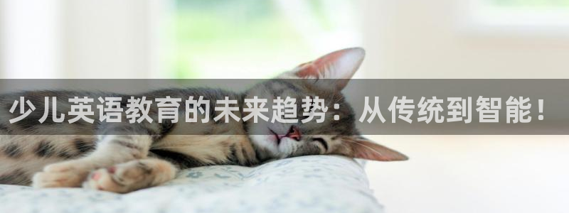 鸿运平台代理台