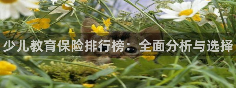 新鸿运娱乐平台
