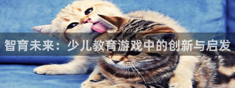 鸿运华宁技术平台