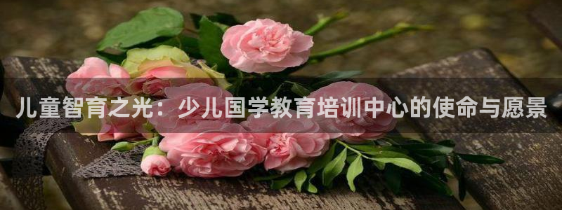鸿运平台是大平台吗