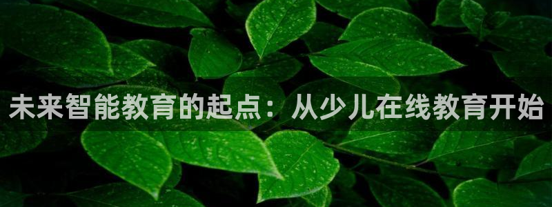 鸿运app直播平台
