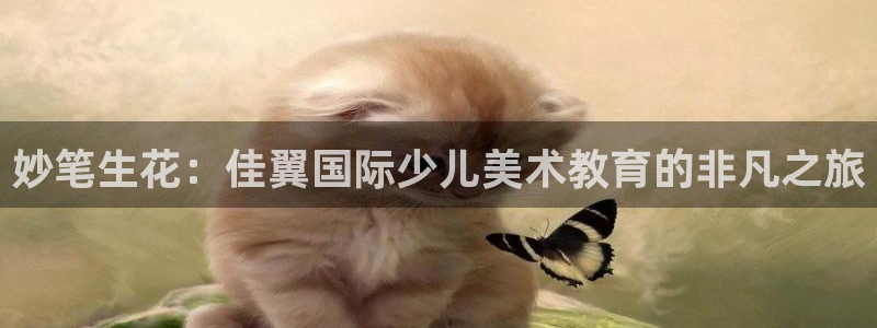 鸿运平台代理
