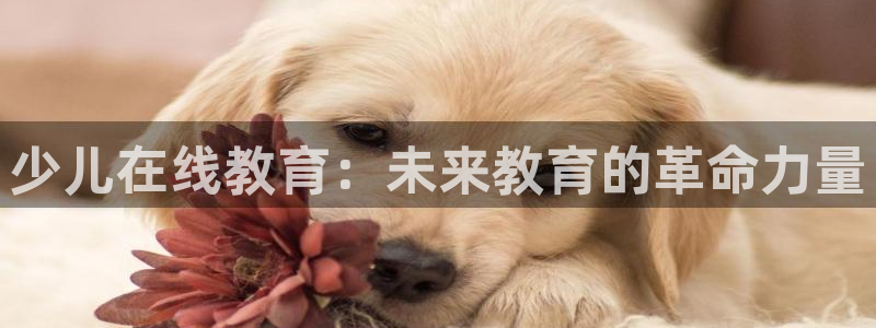 鸿运平台app