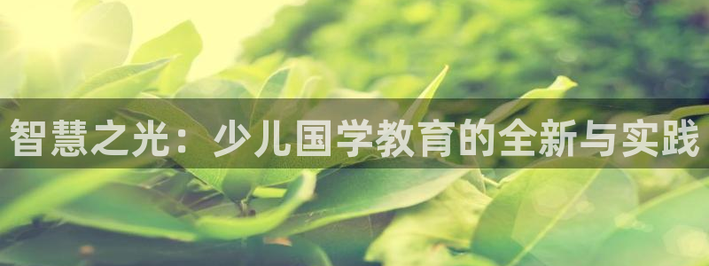 鸿运彩票网络平台下载