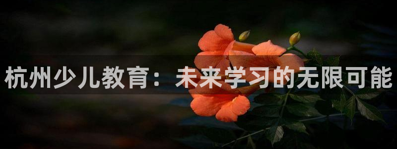 鸿运达出票平台