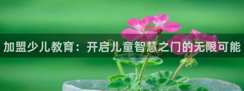 鸿运卡盟平台登录