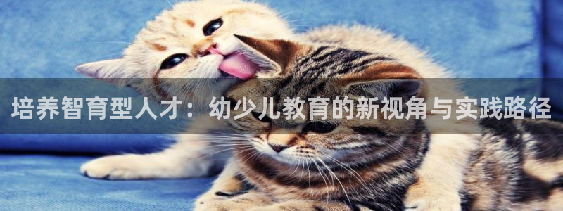 中国鸿运是什么平台